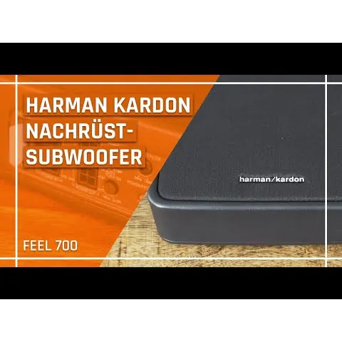 Verbindungskabel Harman Kardon FEEL 700/JBL BassPro Nano